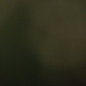 Meet your Posher, Jasmin